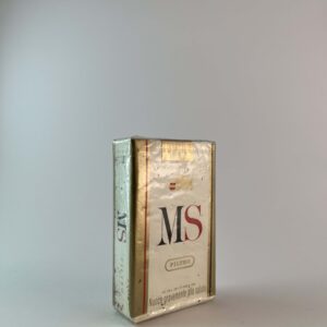 MS Filtro