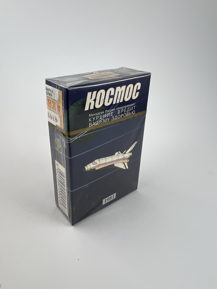 Космос 1981 (Kosmos 1981)