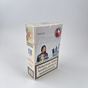 L&M One What is Transglobe? – Ping / Shanghai