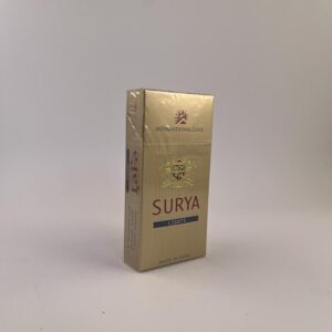 Surya Lights