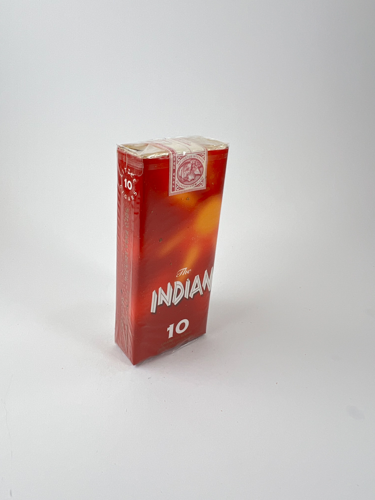The Indian 10