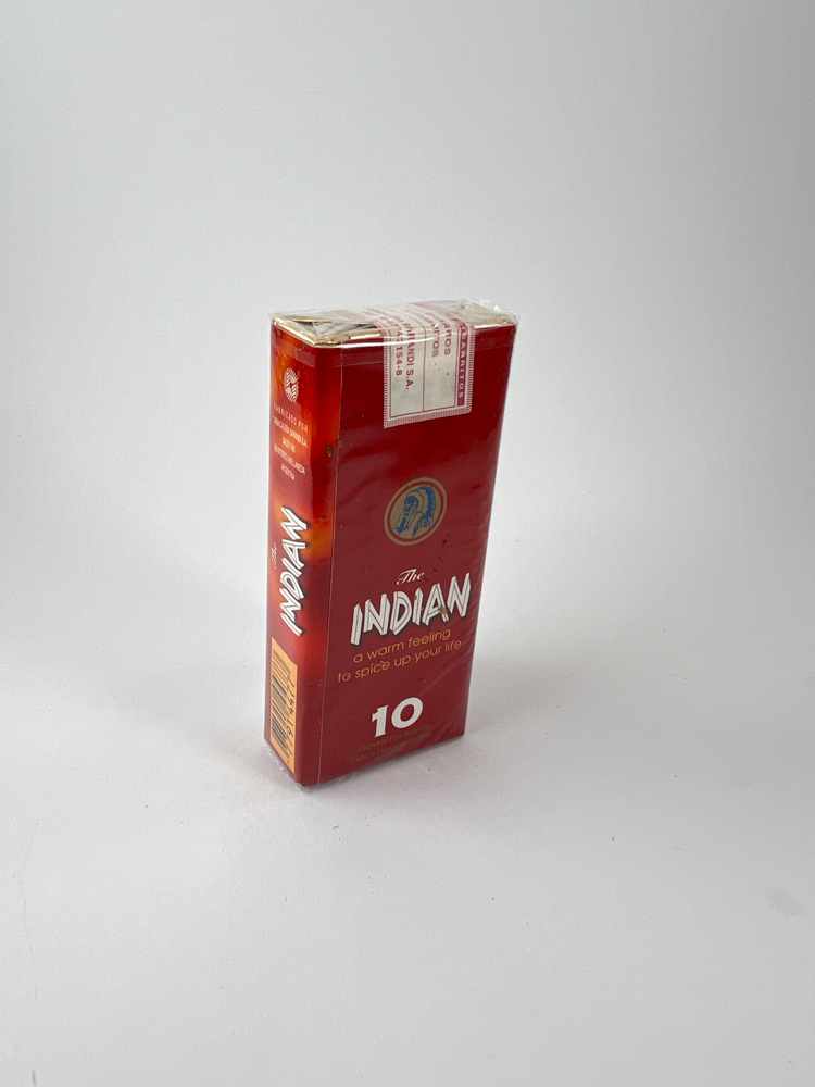 The Indian 10 - Paveikslėlis 2