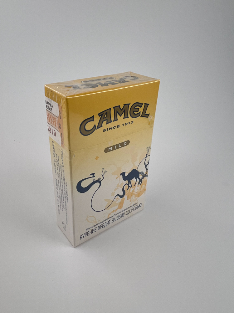 Camel Landscape Edition - Image 3