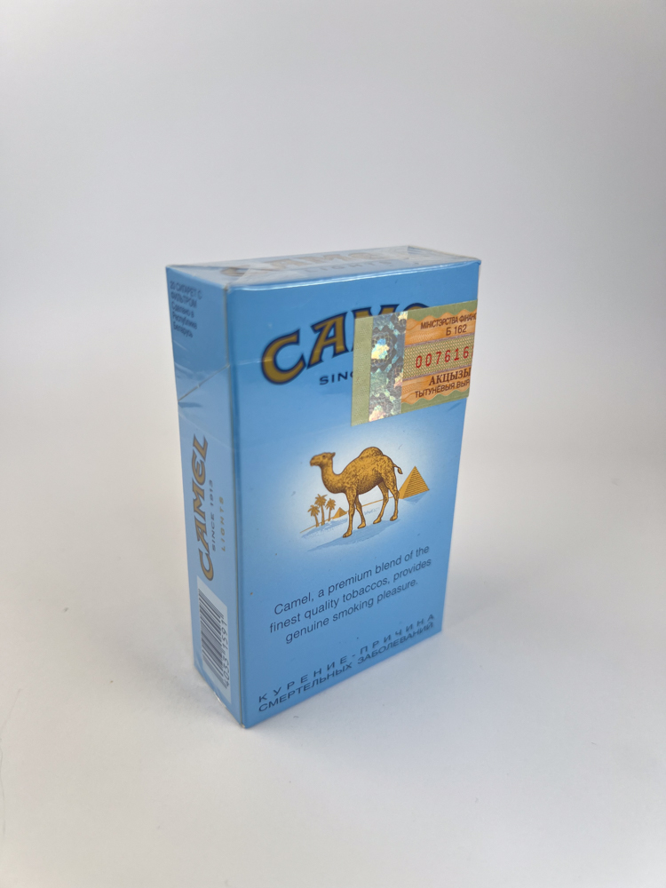 Camel - Image 2