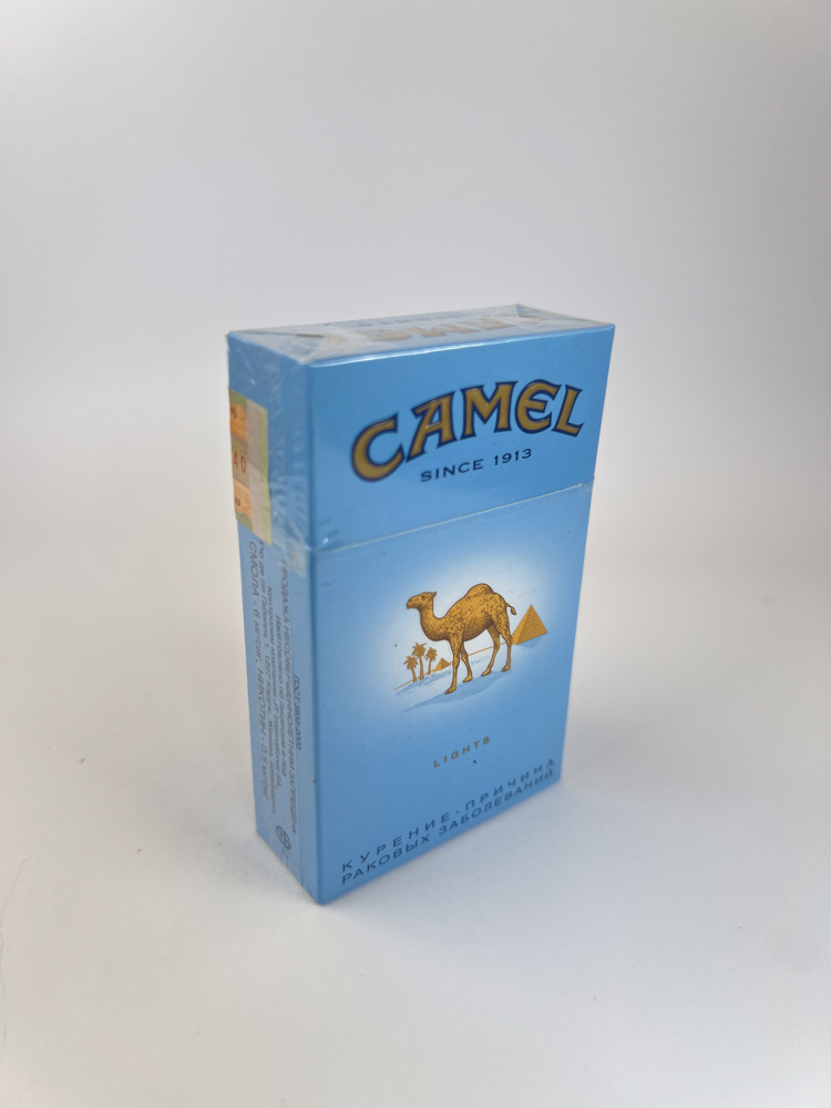 Camel - Image 3
