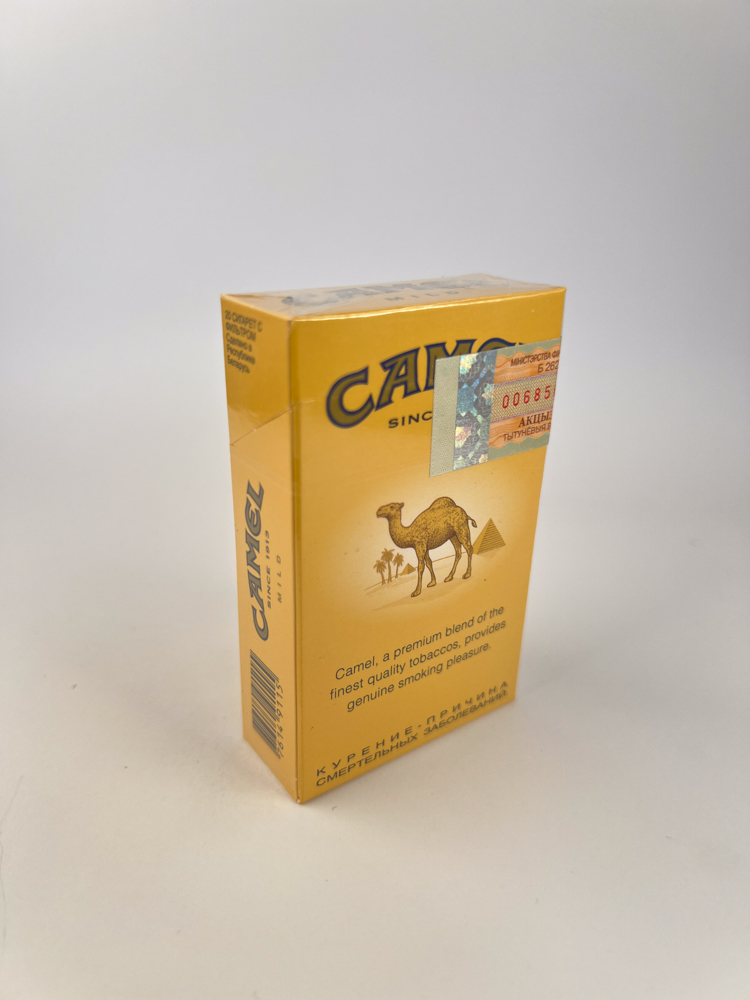 Camel - Image 4