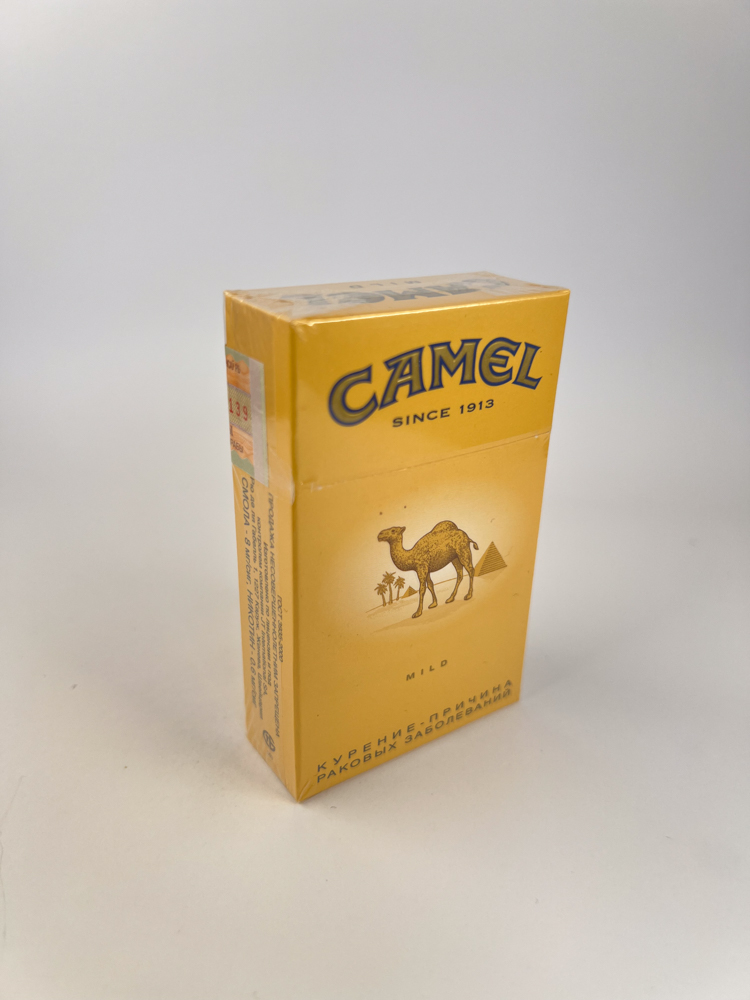 Camel - Image 5