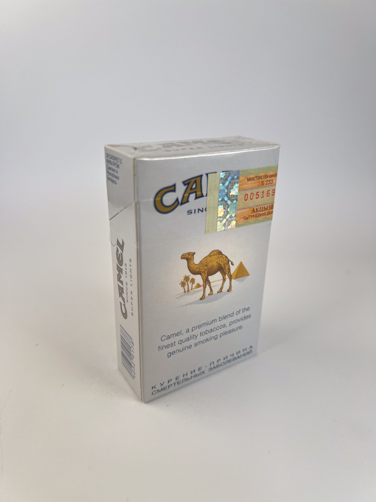 Camel - Image 6
