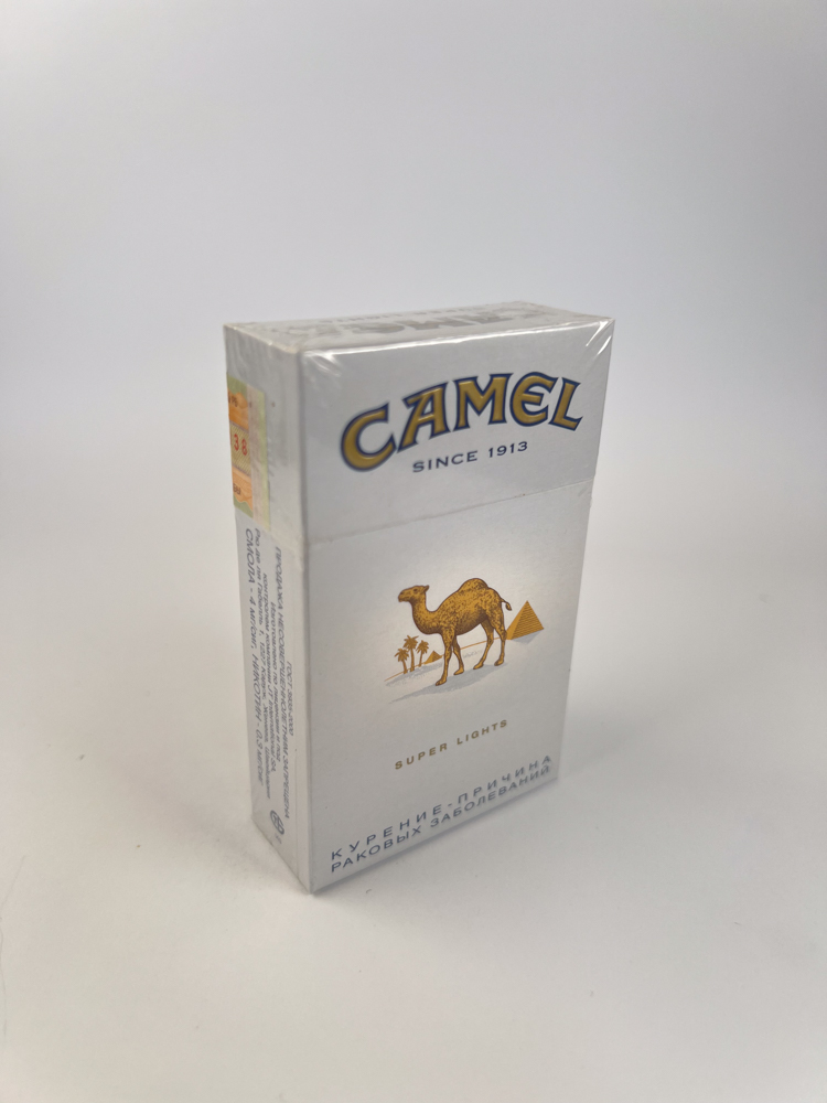 Camel - Image 7