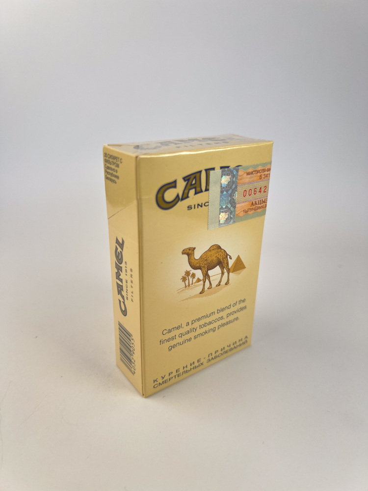 Camel - Image 8