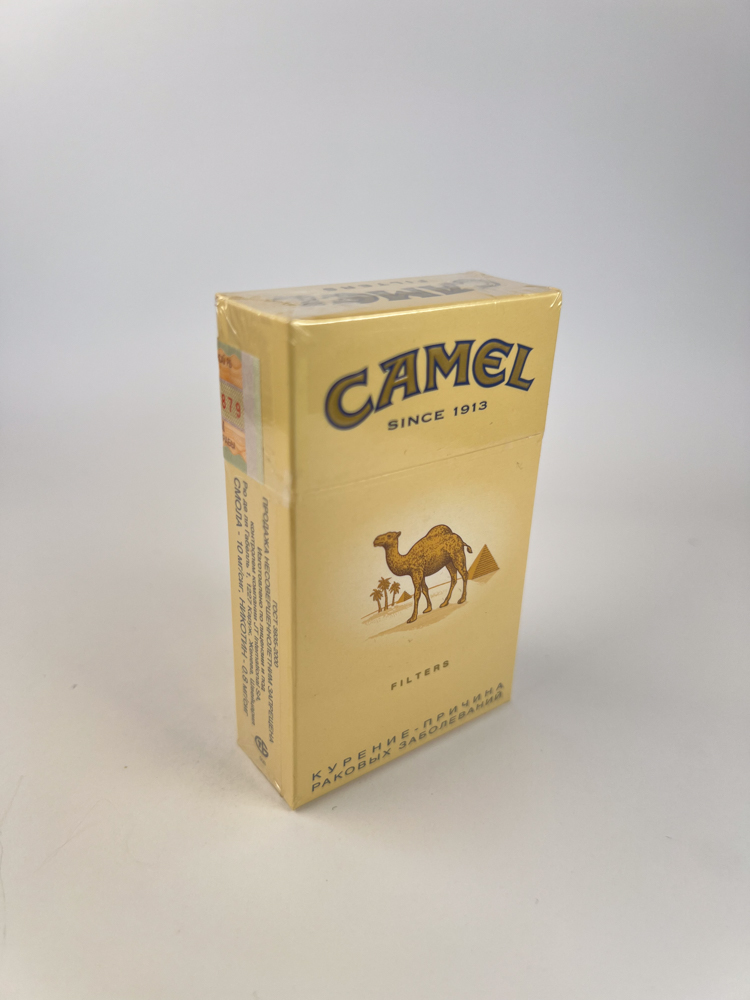 Camel - Image 9