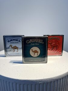 Camel