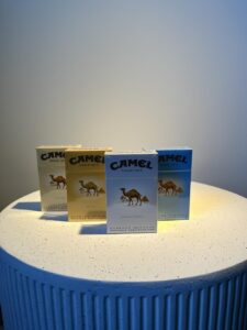 Camel