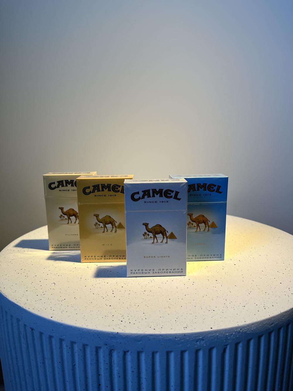 Camel