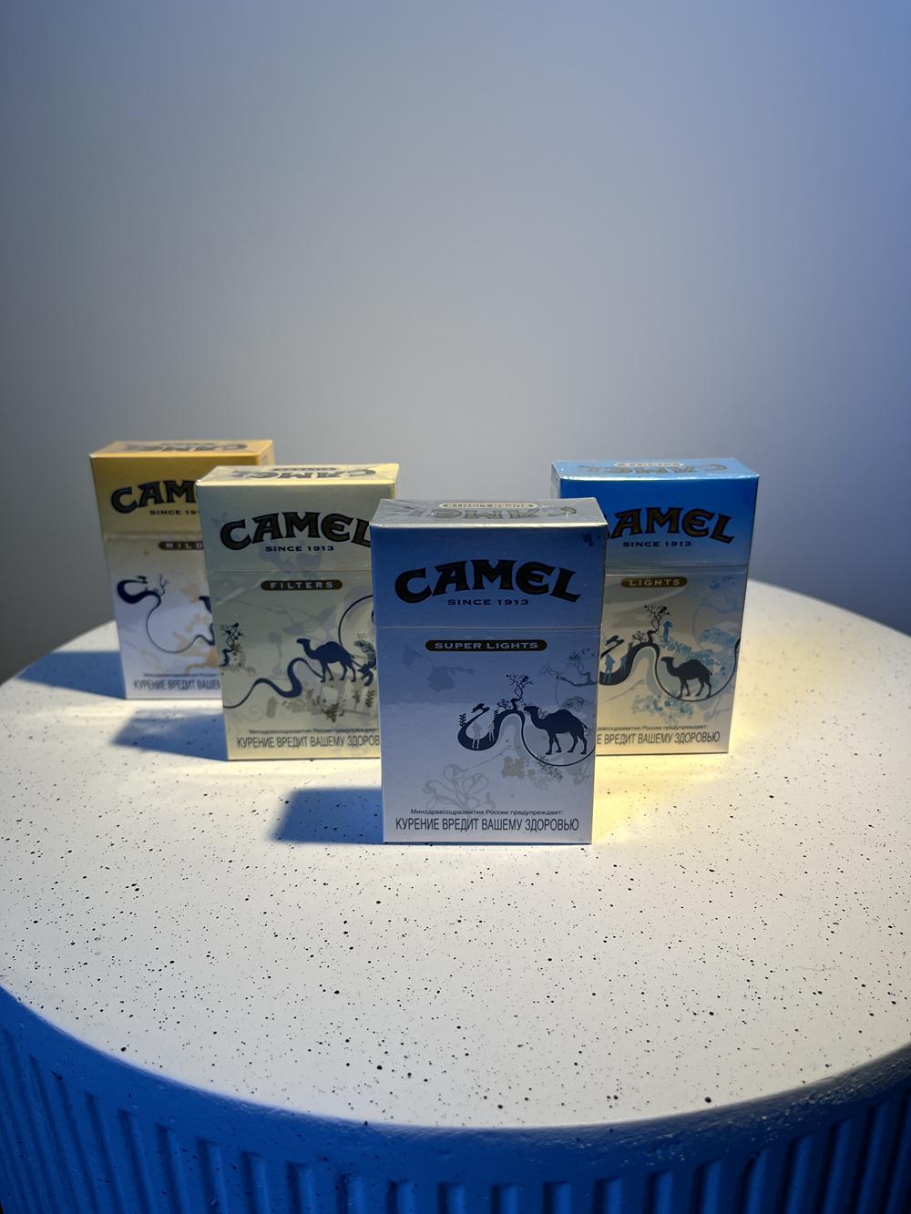 Camel Landscape Edition